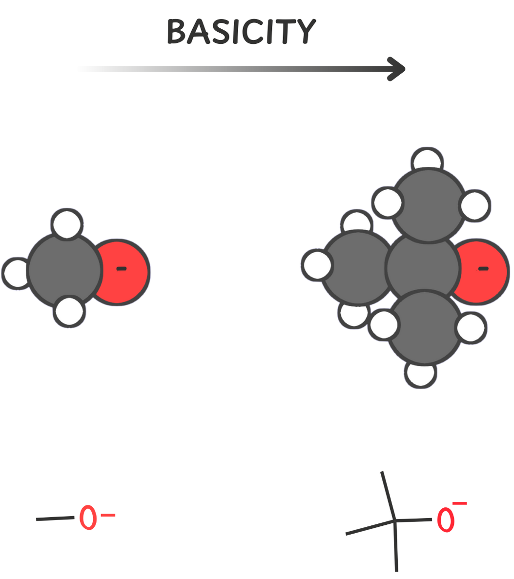 Diagram showing how electron-donating alkyl groups increase electron density at the basic site, making tert-butoxide a stronger base than methoxide