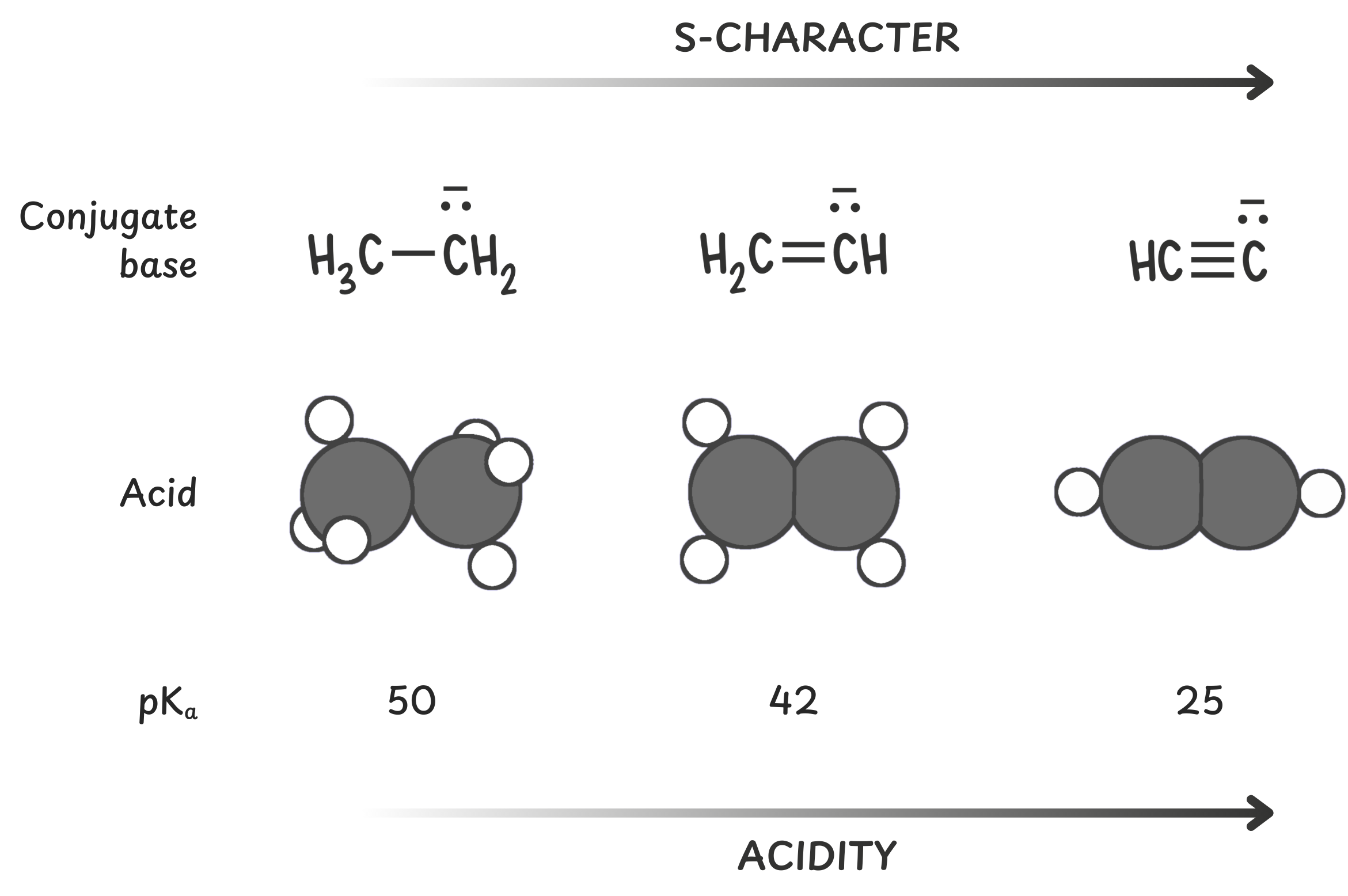Diagram explaining how orbitals with higher s-character stabilize negative charge better, leading to the trend sp > sp² > sp³ for conjugate base stability
