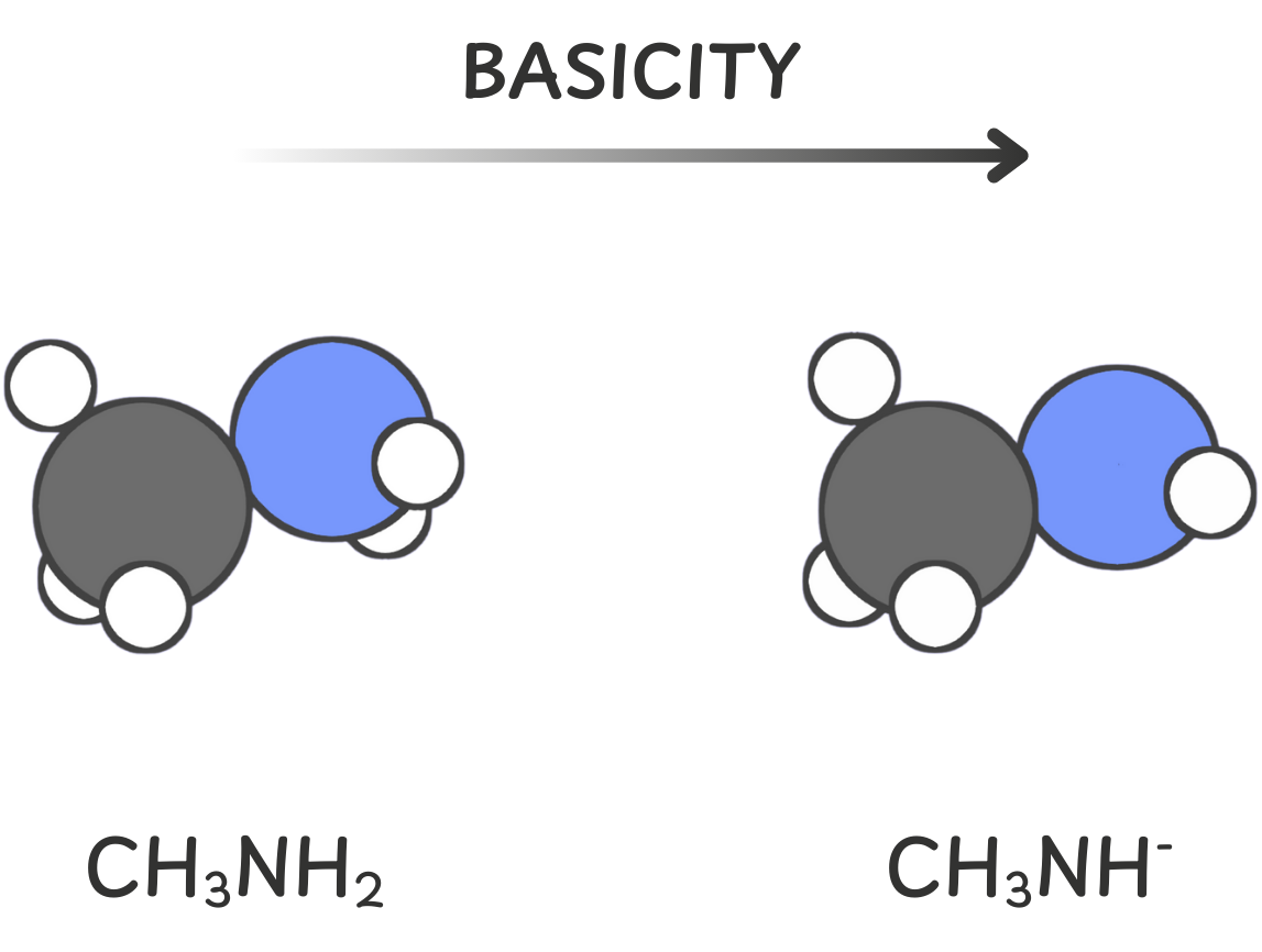 Diagram explaining that negatively charged bases are stronger than neutral ones because their extra electron density makes them less stable and more reactive