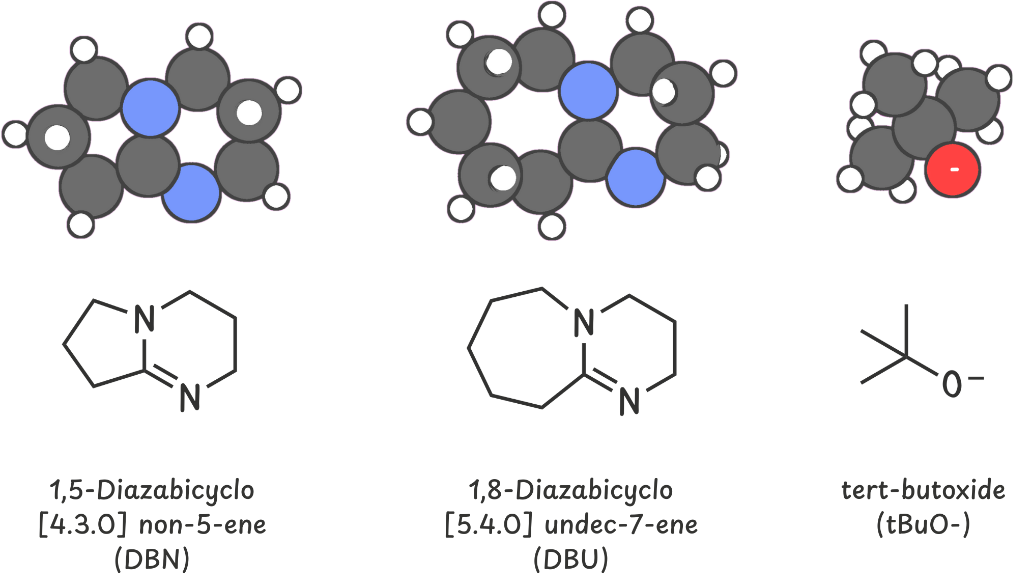 Bulky bases, DBN, DBU, and tBuO-, as strong bases but weak nucleophiles