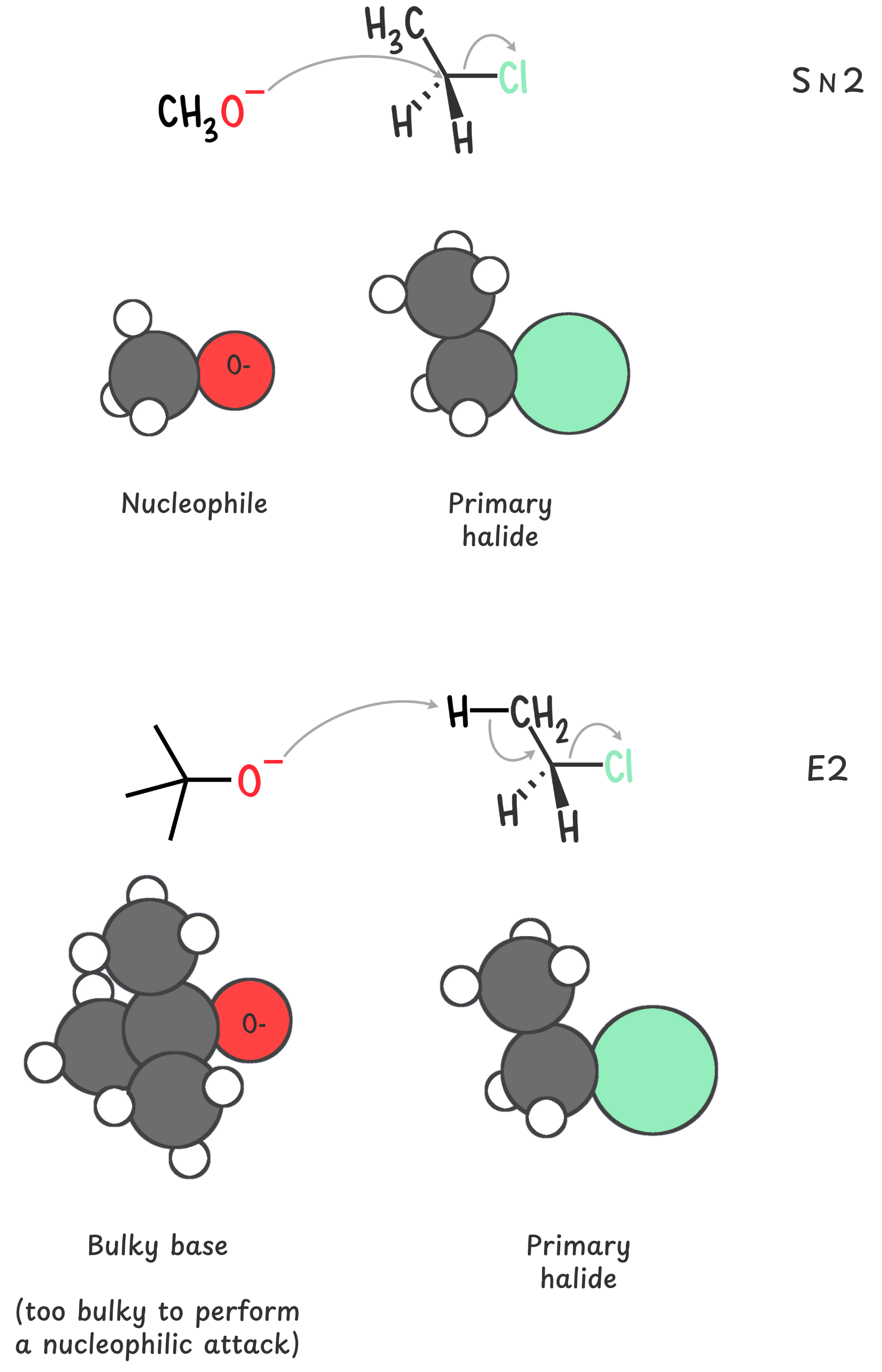 A diagram showing how a primary alkyl halide (attached to one alkyl group) usually favors an SN2 reaction, where the nucleophile attacks and kicks out the leaving group in one step. But if a bulky base is used instead, the reaction switches to E2, leading to alkene formation.