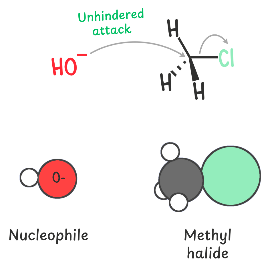 A reaction diagram illustrating the nucleophilic attack on a methyl halide. A curved arrow represents the movement of electrons from a nucleophile (e.g., hydroxide ion, OH⁻) toward the partially positive carbon of the methyl halide (e.g., CH₃Br). The halide (Br⁻) acts as a leaving group, detaching from the carbon as the nucleophile forms a new bond, resulting in a substitution reaction (SN2 mechanism).