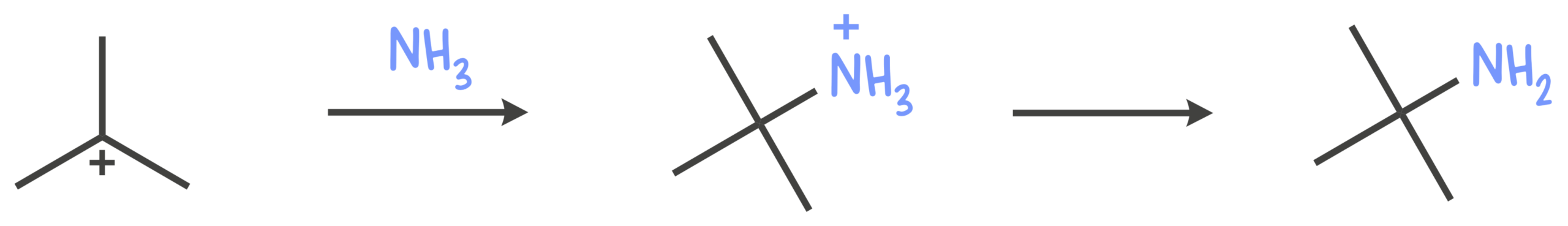 Diagram showing a neutral nucleophile (e.g., NH₃, H₂O, or MeOH) attacking a carbocation, forming a protonated intermediate that later loses a proton to become a neutral product