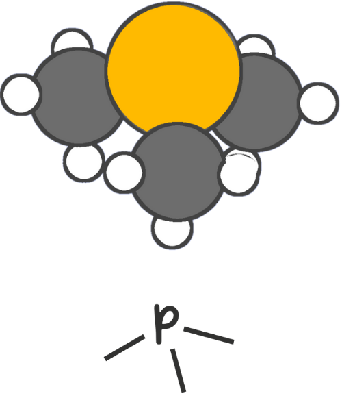 Phosphines (PR3) – Similar to thiols, phosphines are highly polarizable, enhancing their nucleophilicity.