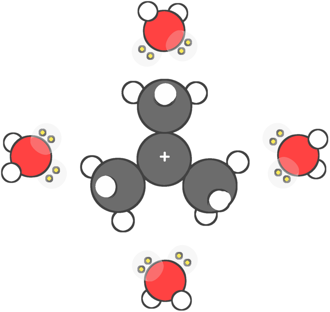 A diagram showing how SN1 reactions go through a carbocation intermediate. Polar protic solvents like water, methanol, and ethanol help stabilize the positively charged carbocation by surrounding it and using their lone pairs to lower its energy, making the reaction faster.