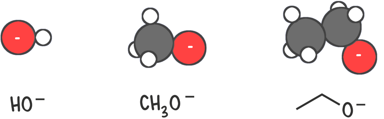 Reagents like hydroxide (OH⁻) and alkoxide (RO⁻) act as both bases and nucleophiles, influencing SN2 or E2 reactions based on the substrate.