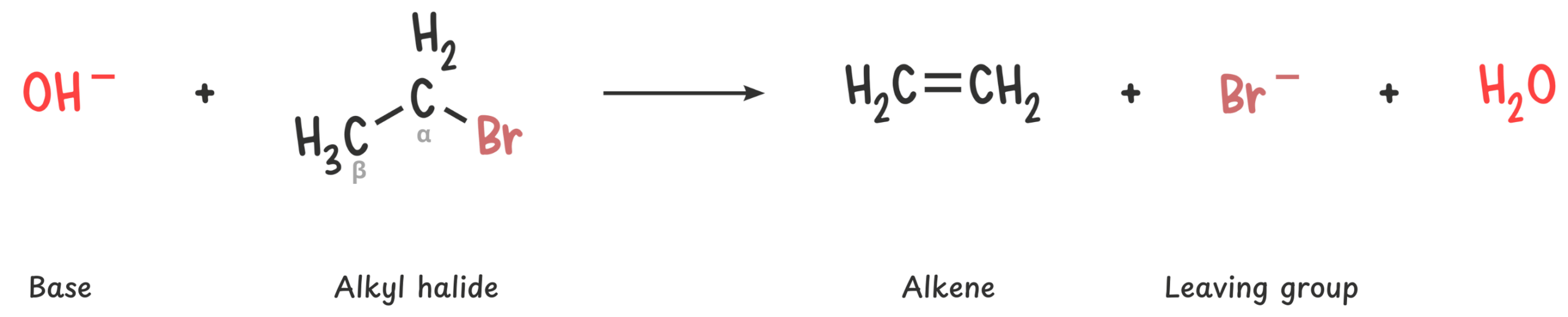 Diagram showing the E2 mechanism where a base removes a β-hydrogen while the leaving group departs simultaneously, forming a double bond between the α- and β-carbons