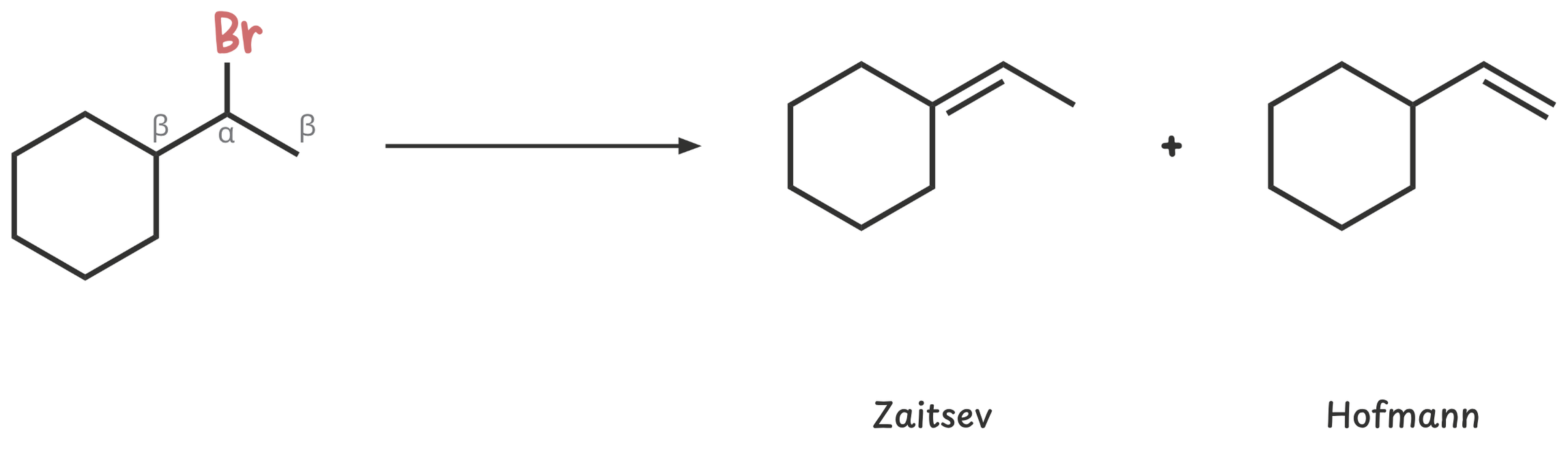 Diagram showing how E2 elimination at different β-carbons leads to regioisomers—Zaitsev (more substituted) and Hofmann (less substituted) alkenes