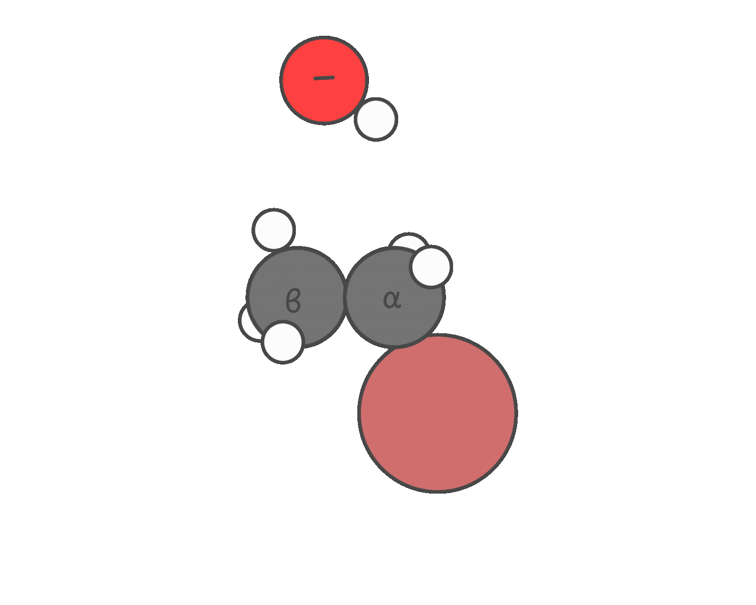 Animation showing the E2 mechanism where a base removes a β-hydrogen while the leaving group departs simultaneously, forming a double bond between the α- and β-carbons