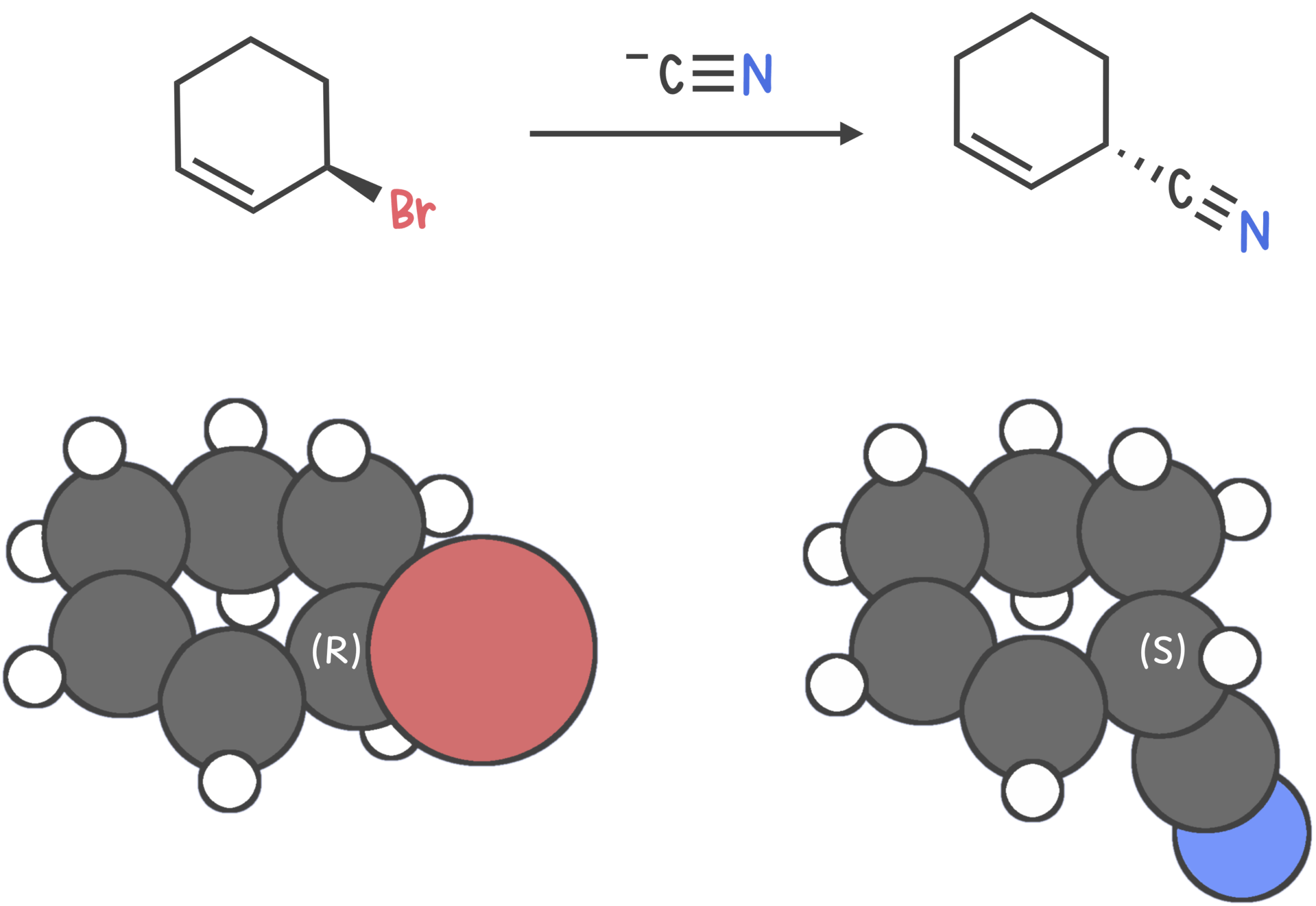 Diagram showing how backside attack by a nucleophile in an SN2 reaction leads to inversion of configuration at a chiral center (e.g., R → S or S → R)