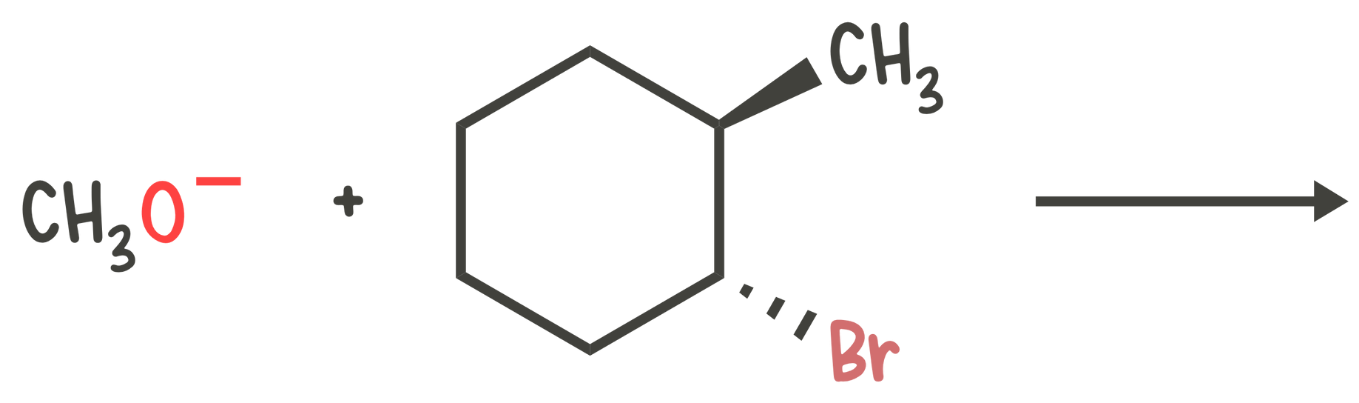 Predicting the major product of E2 reactions on substituted cyclohexanes
