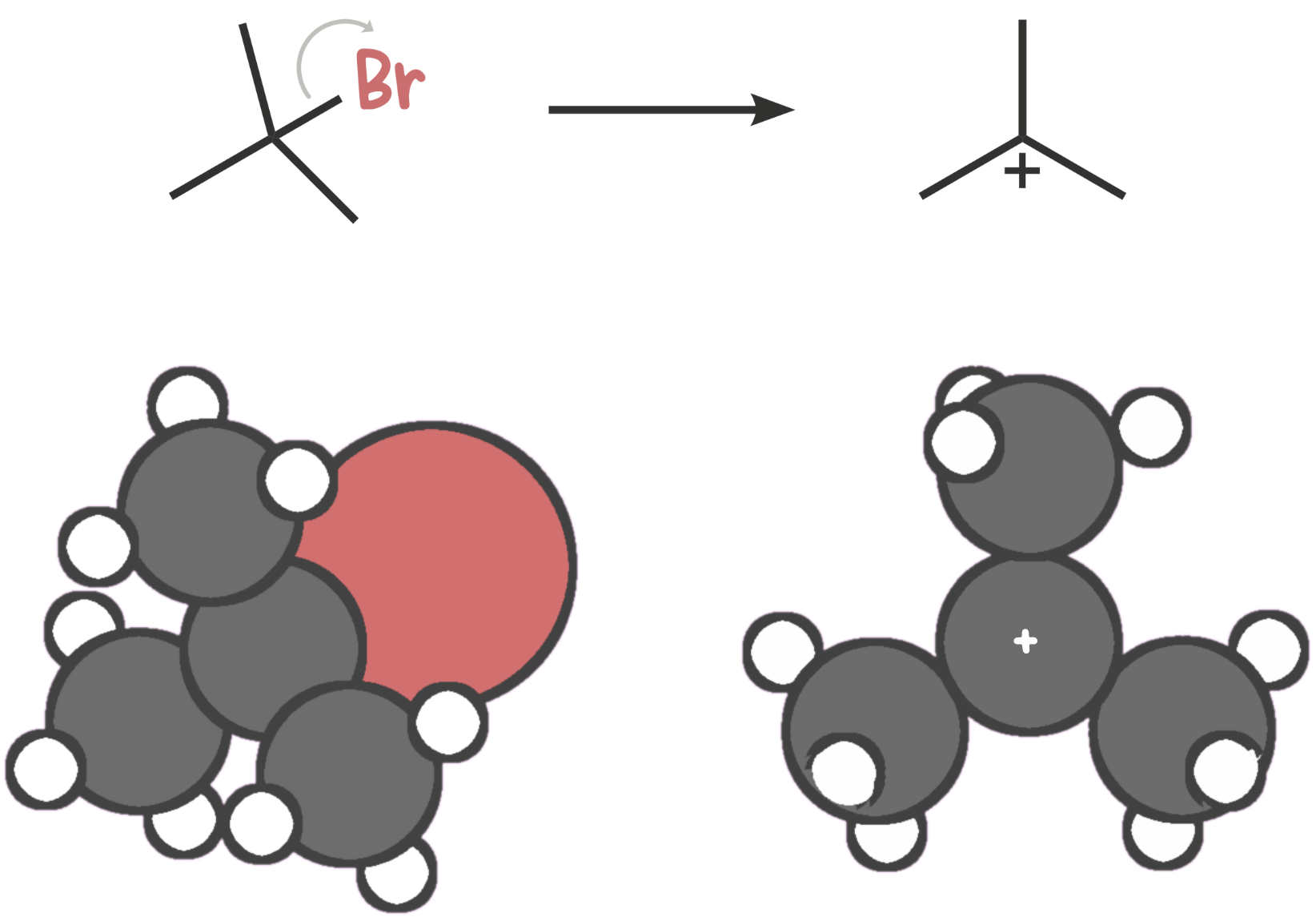 Diagram showing the formation of a carbocation intermediate after the leaving group departs in an E1 reaction mechanism