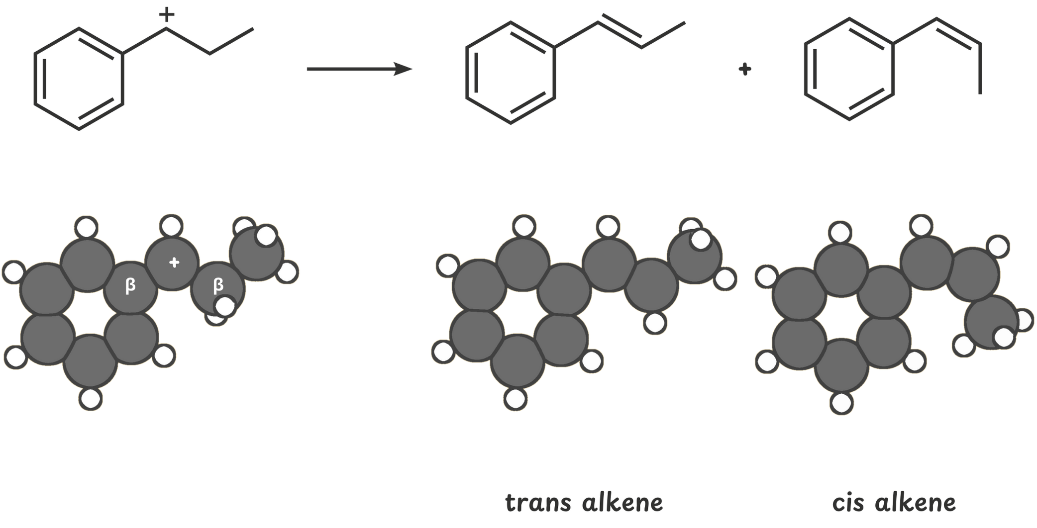 Diagram illustrating how elimination at a β-carbon with two hydrogens can produce both cis (Z) and trans (E) alkenes, with the trans product typically favored due to greater stability