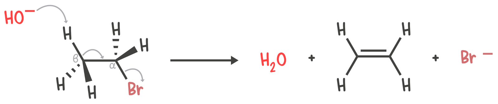 Animation showing the E2 mechanism where a base removes a β-hydrogen while the leaving group departs simultaneously, forming a double bond between the α- and β-carbons