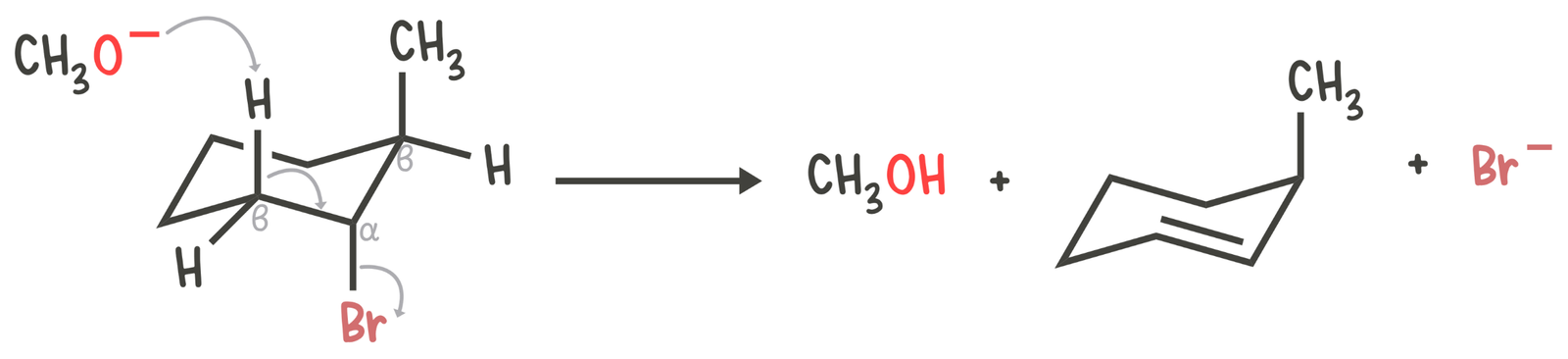 E2 reaction on cyclohexane ring showing base abstracting axial β-hydrogen trans to leaving group, forming double bond between α- and β-carbons.