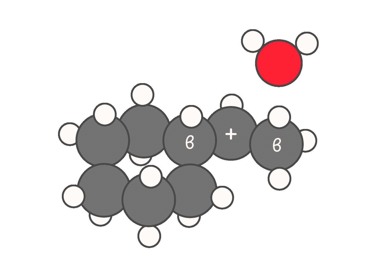 E1 reaction showing elimination from multiple β-carbons, producing Zaitsev and Hofmann alkenes with the Zaitsev product being less substituted.