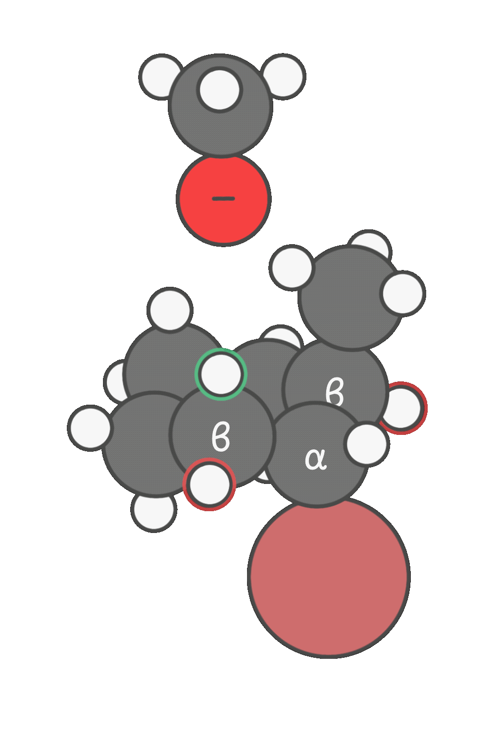 E2 reaction on cyclohexane ring showing base abstracting axial β-hydrogen trans to leaving group, forming double bond between α- and β-carbons.