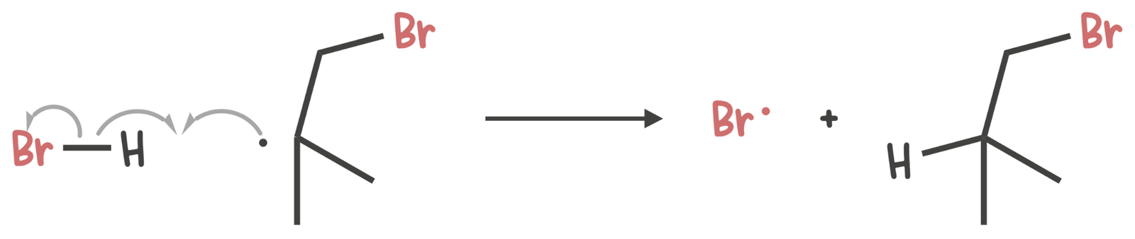 Carbon radical abstracts hydrogen from HBr, forming alkyl bromide product and regenerating bromine radical (Br•) in a chain propagation step.