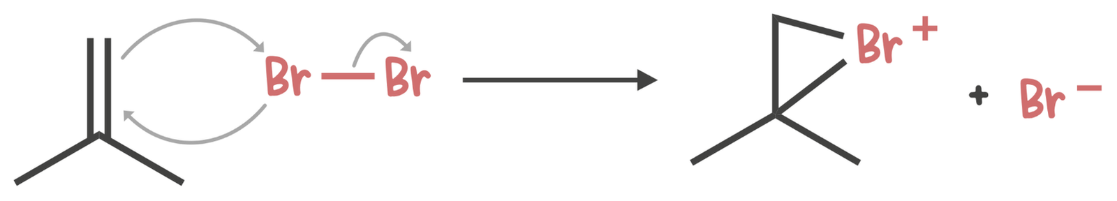 Alkene reacts with Br₂ to form a three-membered bromonium ion intermediate, with bromine bridging the two carbon atoms.