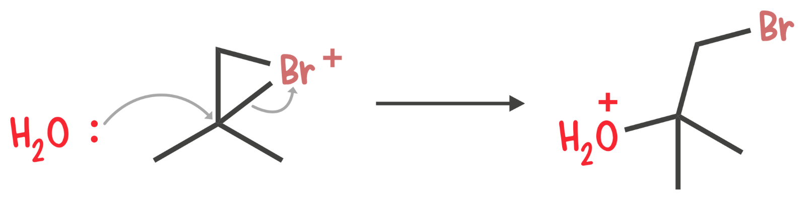 Water molecule attacks the more substituted carbon of a bromonium ion, opening the ring and forming a halohydrin