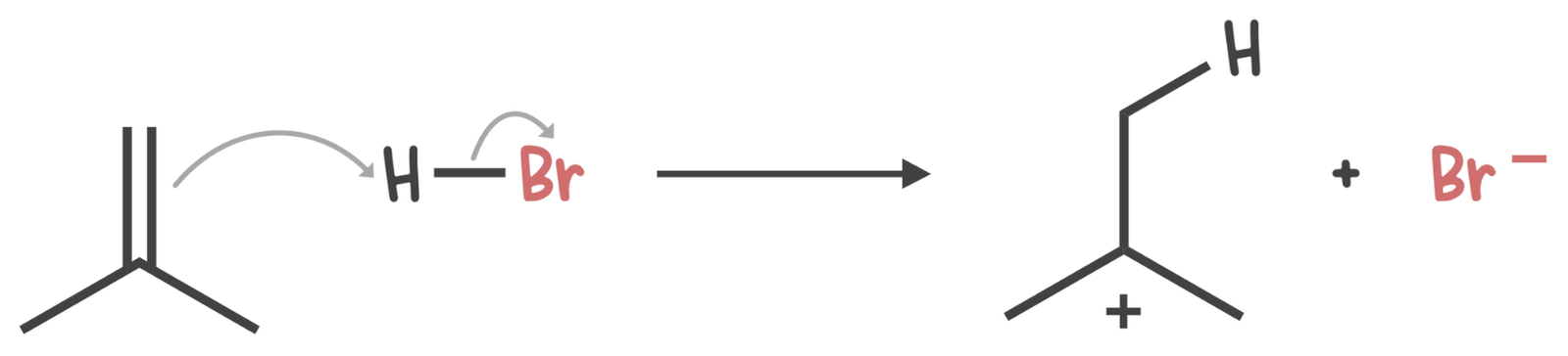 Alkene accepts a proton from HBr, forming a carbocation on the more substituted carbon and releasing Br⁻ ion.